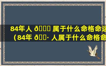 84年人 🐕 属于什么命格命运（84年 🕷 人属于什么命格命运女）